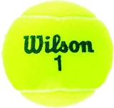Wilson Championship Extra Duty 4Tball Tennis Balls Yellow One Size view 2