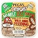 C&S Pecan Delight No Melt Suet Dough, 12/pack 11.75 Ounces