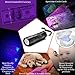 Pet Urine Detector Torch -- UV Flashlight for Dog Urine, Cat Stains, Bed Bug - 12 LED bulbs cover larger area - Waterproof - 3 AAA Batteries Included