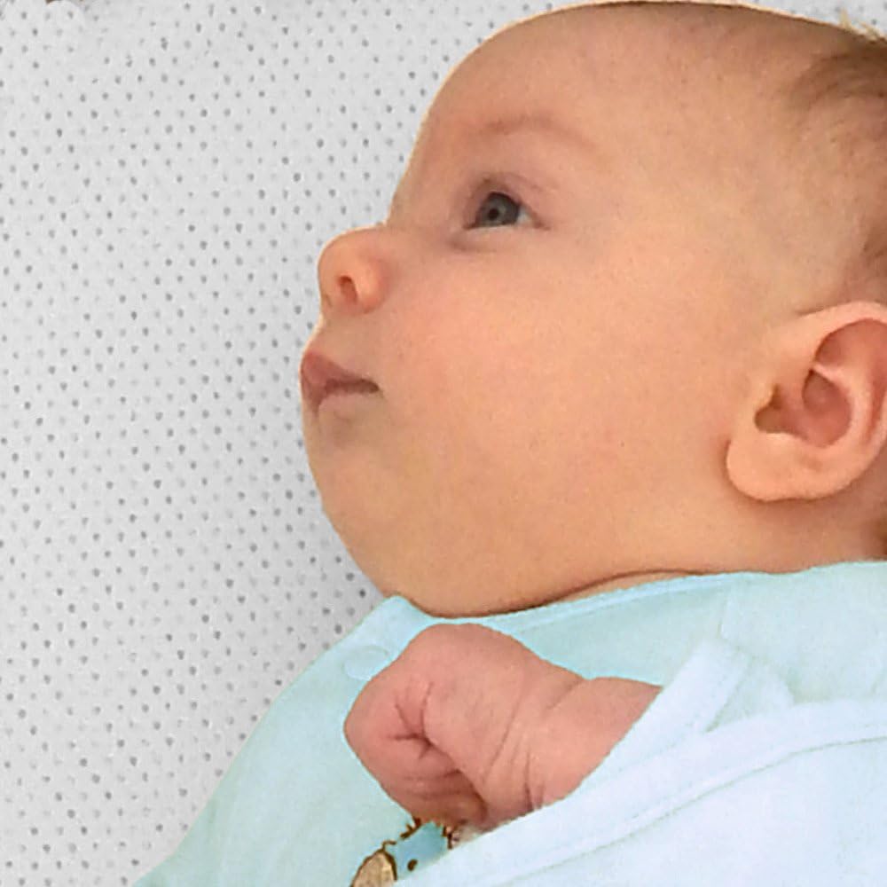 baby planet oasis bassinet