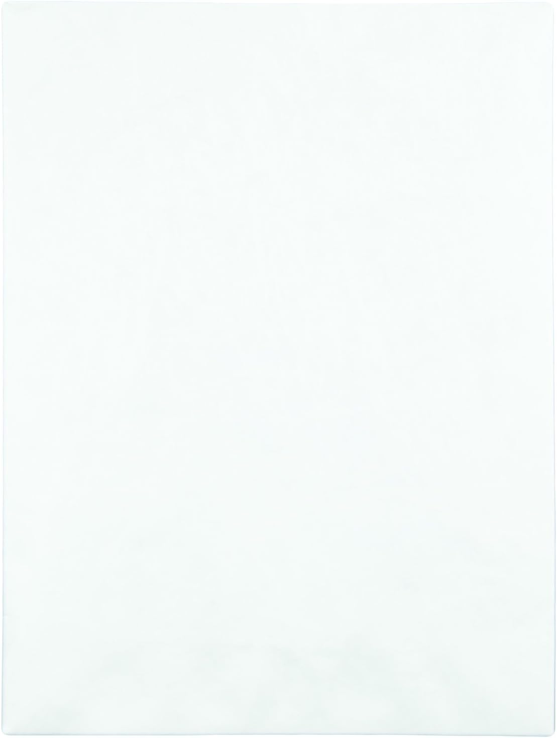 Quality Park Survivor R1460 Tyvek Mailer, 9 x 12, White (Box of 100) : White Tyvek Mailers : Office Products