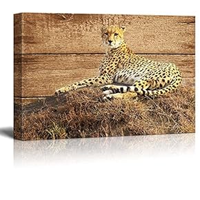Rustic Lying Leopard Wall Decor