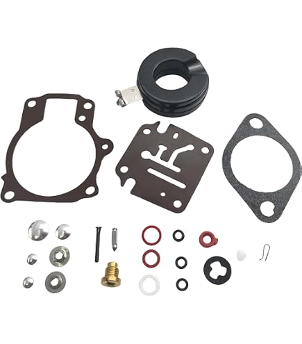 Amazon.com: Johnson Evinrude OMC New OEM Carburetor Repair Kit