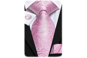 Hi-Tie Silk Paisley Ties for Men Necktie Pocket Square Cufflinks Set Foral Tie Sets Formal Business