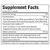 Stacker2-Herbal-Fat-Burner-Capsules-Pack-of-100 Stacker2 Herbal Fat Burner Capsules, Pack of 100