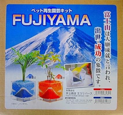 Amazon ハイドロカルチャー作成キット カラーサンド Fujiyama 碧富士 植物 ハオルチア サンクライム 観葉植物 通販