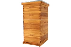 BEEKNOWS 10 Frame Langstroth Beehive Kit Dipped in 100% Beeswax Bee Hives with 2 Deep Bee Box and 2 Medium Super Bee Hive Box with Frame and Foundation(Unassembled)