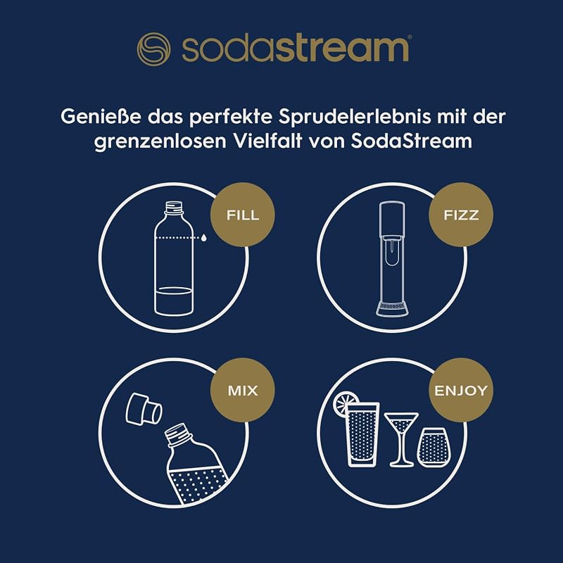 ENSO Wassersprudler - 1L Sprudlerflasche, Edelstahl, Silber