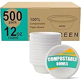 JINVOGREEN 500 Count 12 oz Paper Bowls, Disposable Compostable Bowls Bulk, Heavy Duty Biodegradable Bagasse Bowl for Snacks, Soup, and Salads, White