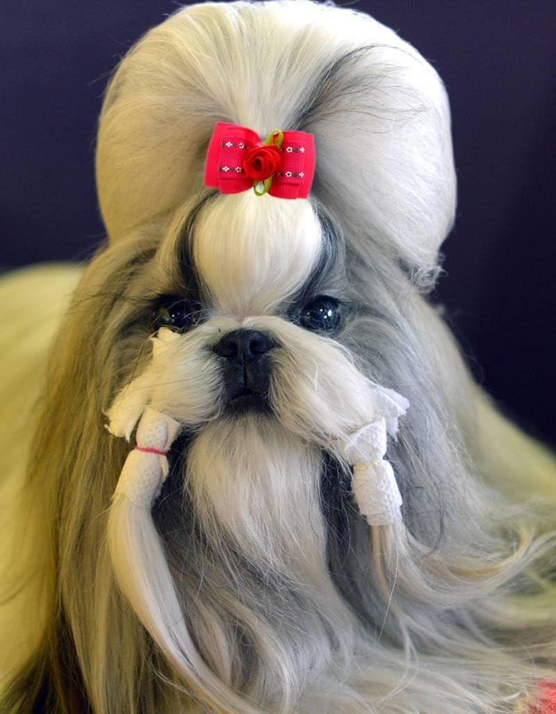 HOLLIHI 20pcs / 10 works Adorable Grosgrain Ribbon Pet Dog Hair Bows with Rubber Bands - Image 5