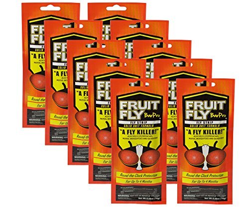 Fruit Fly BarPro 10 Strips (Foodservice Pack) Fruit Fly Killer (4 Months of Protection) (10)