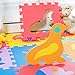 Zoeshare Puzzle Play Mat for Kids Foam Mat,18 Piece, Removable Animals and Fruits, Each Tile 12