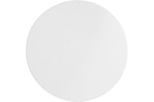 Omicron 134047 Borosilicate Glass Fiber Binder Free Filter, 0.7 Micron, 47mm, (Pack of 100) (Cross Reference GF/F 1825-047)