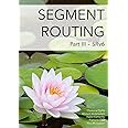 Segment Routing Part III: SRv6