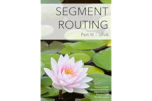 Segment Routing Part III: SRv6