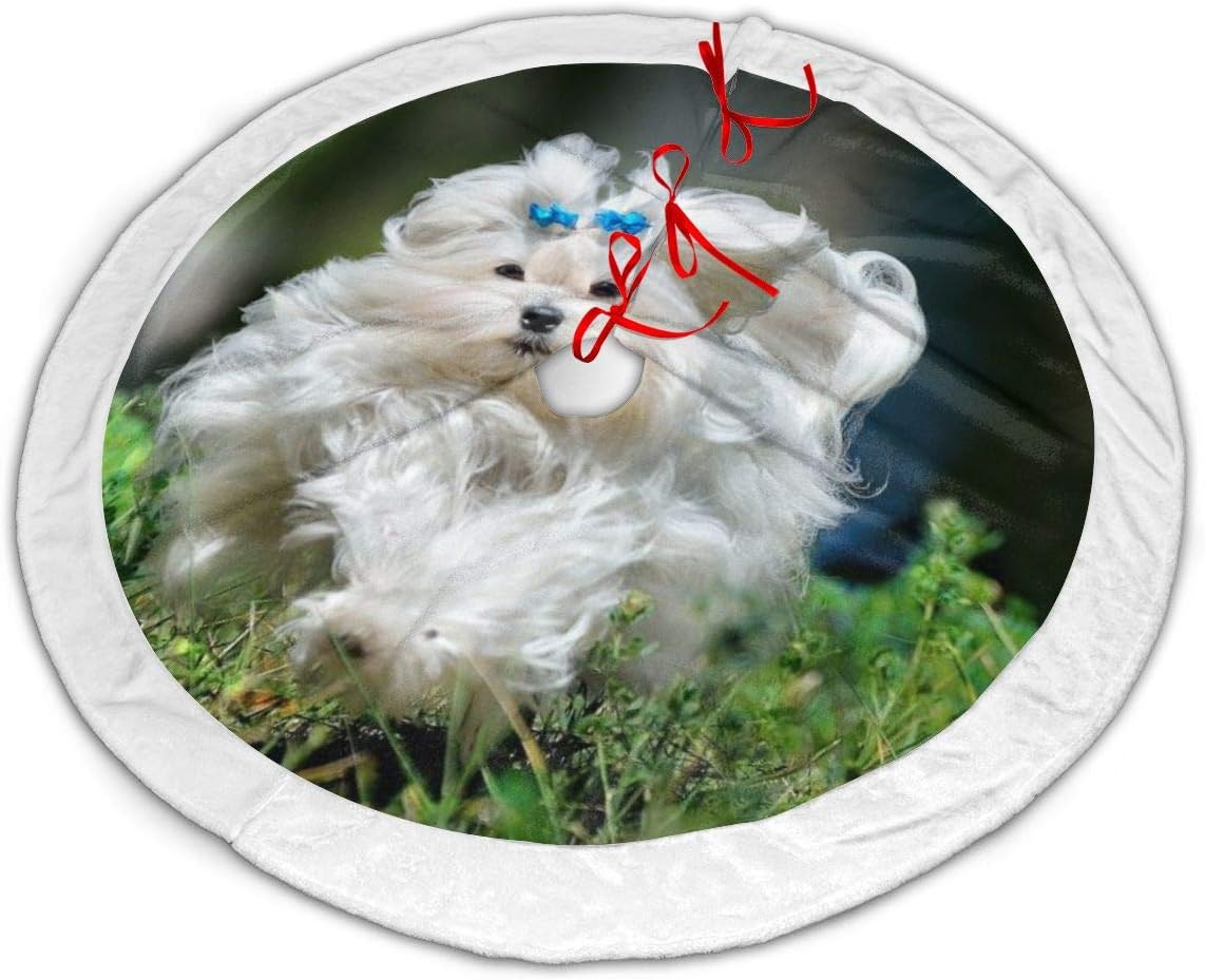 maltese christmas decorations