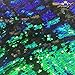 3 Feet 1 Yard Mermaid Flip Up Sequin Reversible Sparkly Stretch Fabric Sold by The Yard for Dress/Decor/Clothing (#24 Green&Black)