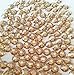 GOLDEN SHADOW Crystal Rhinestones Flatback 144 SWAROVSKI 4.8mm 20ss ss20