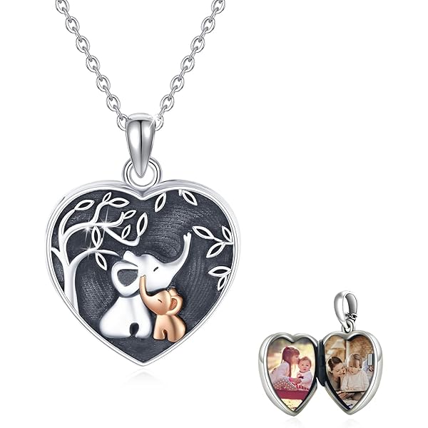 Personalized Photo Locket Necklace That Holds Pictures Sterling Silver Jewelry Gifts For Women Custom Photo Lockets Pendant Necklace Picture Locket Memorial Jewelry Heart Wing Four Leaf Oval (Four Leaf