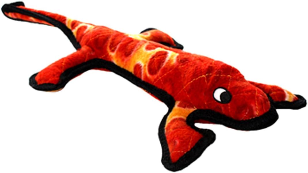 bernese mountain dog playing