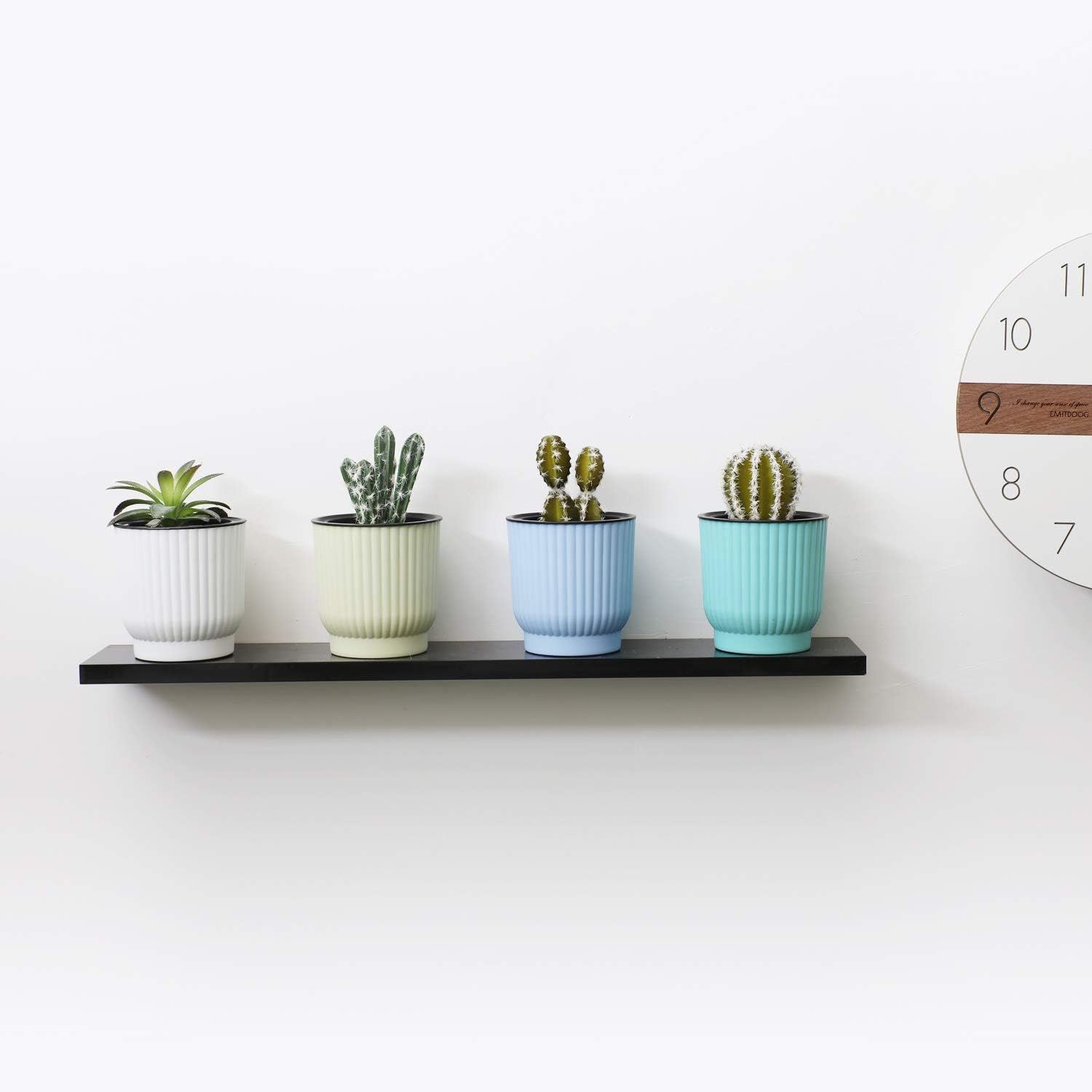 panepisthmio makedonias