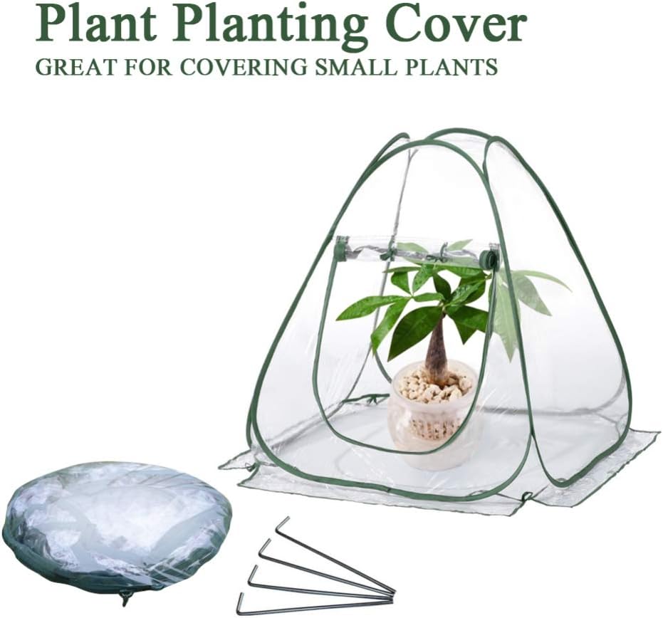 Mrinb Mini Greenhouse with Clear PVC Popup Grow House, Small Portable