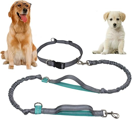 retractable dog leash waist belt