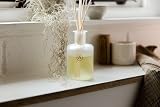 St Eval Reed Diffuser Refill | Bay & Rosemary Herbal Fragrance view 3