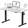 FLEXISPOT EN1 Whole-Piece Standing Desk 48 x 24 Inches Height Adjustable Electric Desk Sit Stand Desk Home Office Desks (Black Frame + White Table Top, 2 Packages)