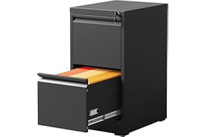 DARTIIA 2 Drawer Vertical File Cabinet with Lock, File Cabinet for Home Office, Locking File Cabinet Hanging Files for A4/ Legal/Letter(Require Assembly, Black)
