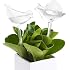 Arrosoir Automatique En Verre Forme Oiseau - Irrigation Autonome Pour Plantes D'intérieur Et Jardin - Déco élégante