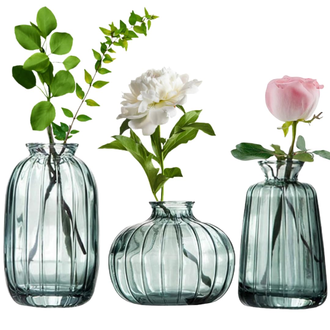 MEETOZ Glass Bud Vase Set of 3- Small Vases for Flowers, Home Table Flower Decor, for Office or Wedding Events