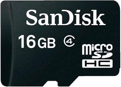 SanDisk 16 GB microSDHC Memory Card - Frustration Free Packaging - Black