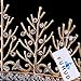 FUMUD Vintage Wedding Bridal Rhinestone pearl Gold Headband Crown Tiara Hair Accessories (Gold)