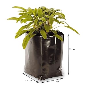 Unique Plastic Industries Plastic Poly Grow Bag (Black, 100-Pieces, GB5X6FLAT100)