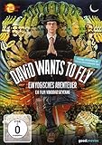 David Wants to Fly ( David quiere volar ) [ NON-USA FORMAT, PAL, Reg.0 Import - Germany ]