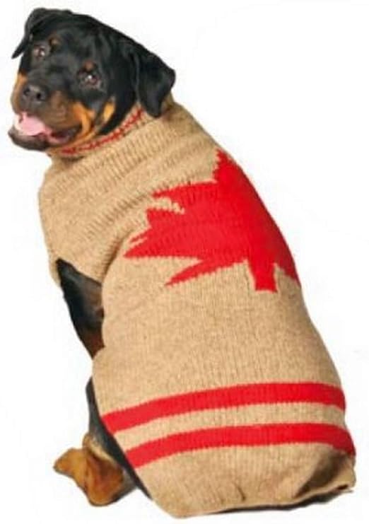 dog sweaters for rottweilers