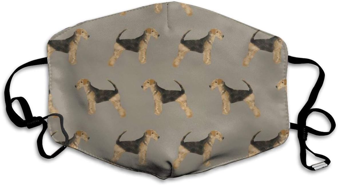 airedale terrier protection