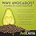 AvoDerm Natural Grain Free Wet Cat Food, Tuna & Crab in Gravy, 5 oz Can (Pack of 24)