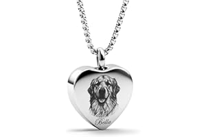 Pet Ashes Necklace for Dog, Engravable Memorial Hair Keepsake Pendant - Stainless Steel Pet Loss Gift for Women and Men