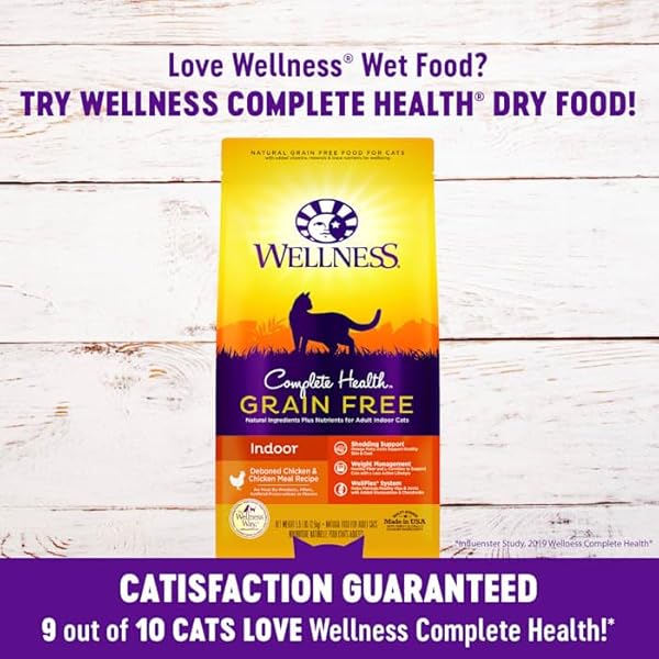 WELLNESS HEALTHY INDULGENCE NATURAL GRAIN FREE MORSELS WITH TURKEY & DUCK IN SAVORY SAUCE WET CAT FOOD, 3 OZ., CASE OF 12