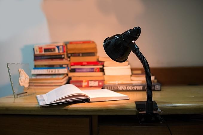 LytZon Clip Lamp for Table/Desk in Black Color