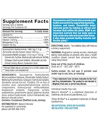 Nature's Wonder Gluc Chond Triple Strength MSM Suplemento nutricional, AMZ650064, 1