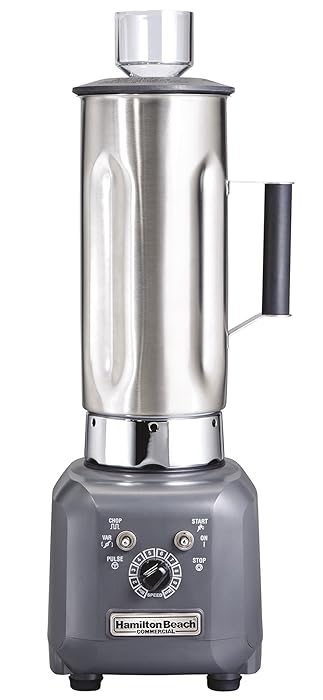 Top 10 Hamilton Bleach Blender Jar