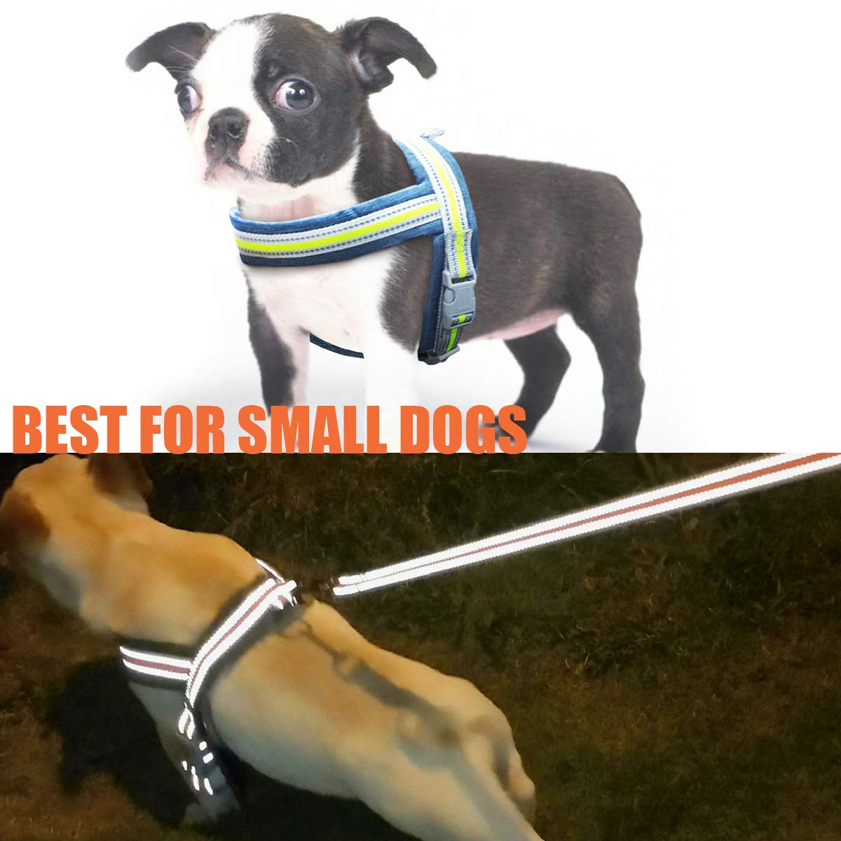 Musonic No Pull Dog Harness for Small Dogs Adjustable Reflective Lightweight Vest Harness Easy Fit and Escape Resistant for Outdoor Training and Walking, Leash Included (M, Blue)