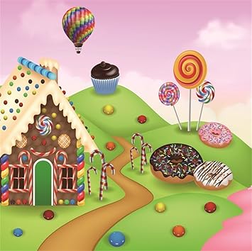 Amazon Com Lfeey 5x5ft Polyester Cartoon Candyland Photo