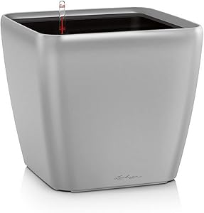 LECHUZA Quadro LS 21 Self Watering Planter Garden Flower Plant Pot Indoor/Outdoor Table Planter with Drainage Hole and Plant Substrate Poly Resin H20 L21 W21 cm Silver Metallic