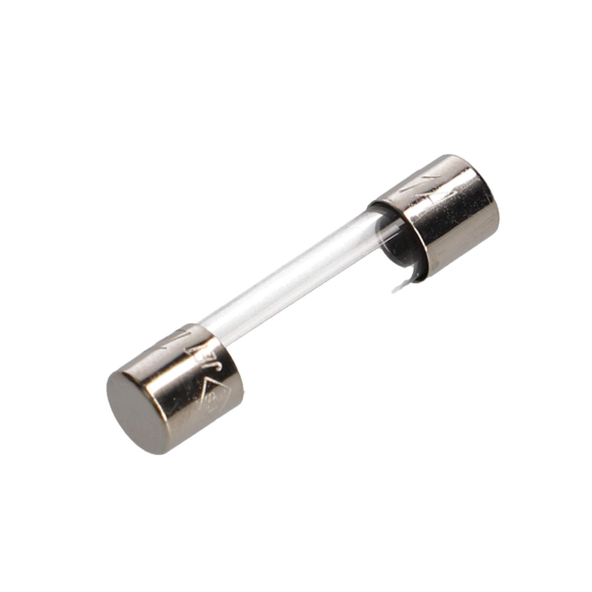 エーモン(amon) 管ヒューズ 1A (約φ6.4×長さ約30mm) 5本入 3651商品画像