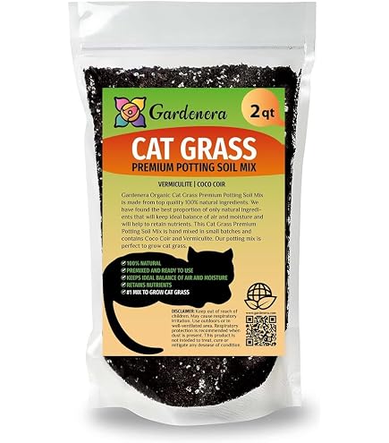 10 inch plastic pots for plants Buy 10 inch (25 cm) Grower Round Plastic Pot (Black) (set of 6) online from  Nurserylive at lowest price