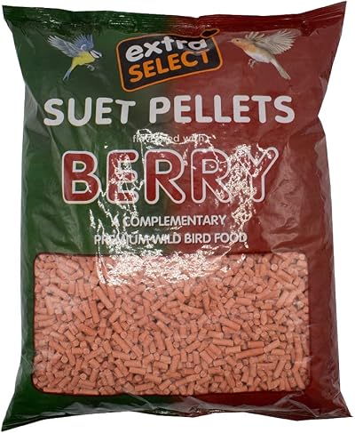 Extra Select Berry High Energy Suet Pellets 3 Kg Refill